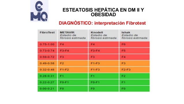 Esteatosis hepática en obesidad y diabetes tipo 2 Esteatosis hepática en obesidad y diabetes tipo 2