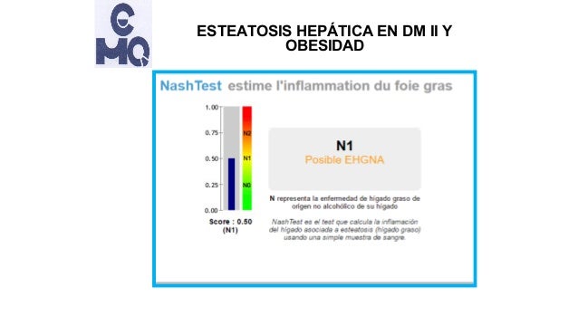 Esteatosis hepática en obesidad y diabetes tipo 2 Esteatosis hepática en obesidad y diabetes tipo 2