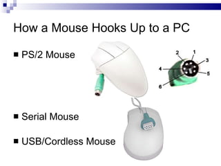 How a Mouse Hooks Up to a PC
 PS/2 Mouse
 Serial Mouse
 USB/Cordless Mouse
 
