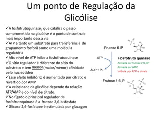 Um ponto de Regulação da
Glicólise
A fosfofrutoquinase, que catalisa o passo
comprometido na glicólise é o ponto de controle
mais importante dessa via
ATP é tanto um substrato para transferência de
grupamento fosforil como uma molécula
regulatória
Alto nível de ATP inibe a fosfofrutoquinase
O sítio regulador é diferente do sítio do
substrato e tem _____ (maior/menor) afinidade
pelo nucleotídeo
Esse efeito inibitório é aumentado por citrato e
revertido por AMP
A velocidade da glicólise depende da relação
ATP/AMP e do nível de citrato.
No fígado o principal regulador da
fosfofrutoquinase é a frutose 2,6-bisfosfato
Glicose 2,6-fosfatase é estimulada por glucagon
menor
 