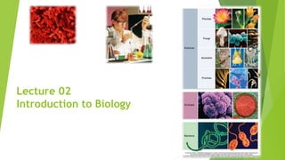 Lecture 02
Introduction to Biology
 