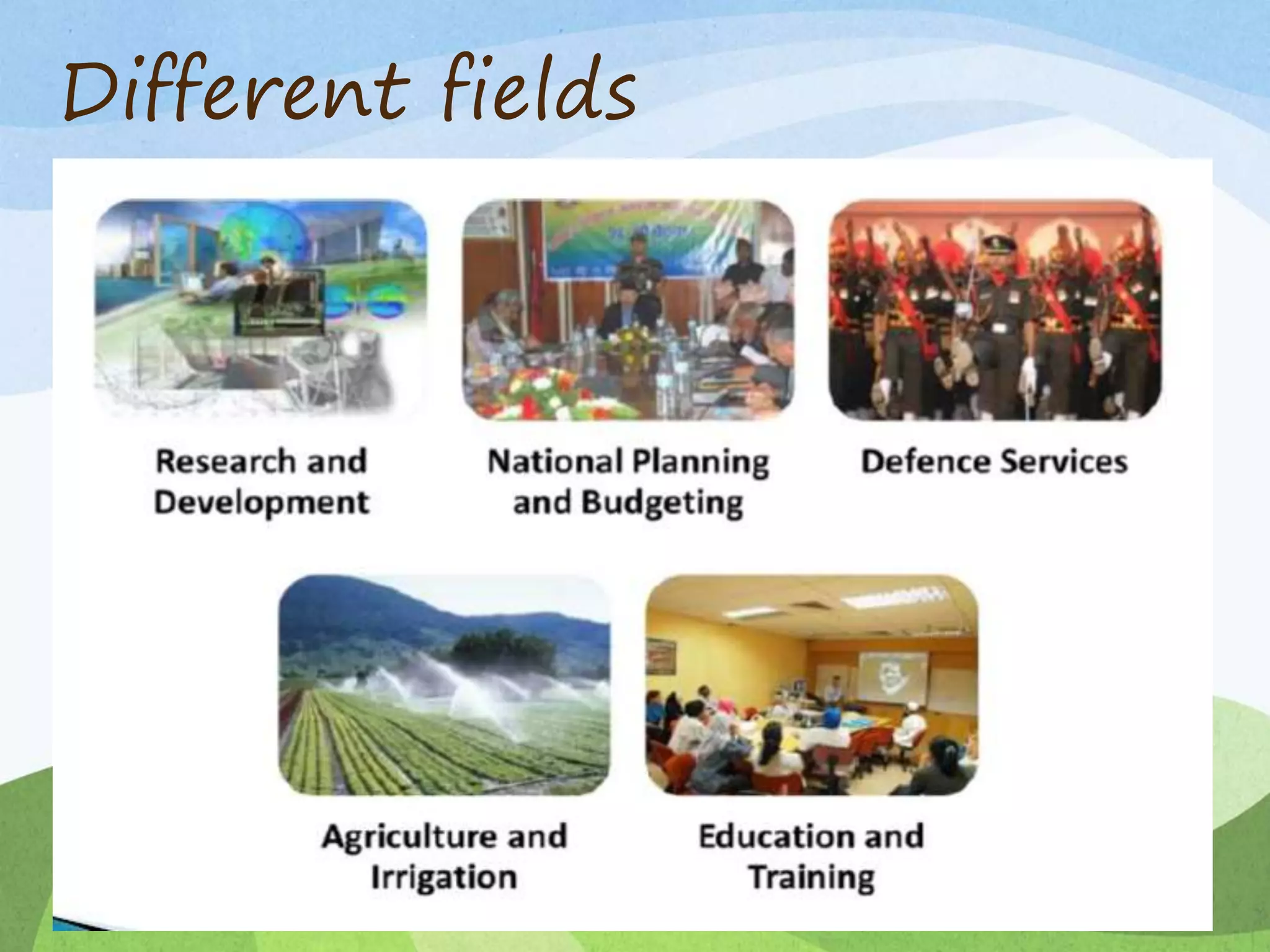 Different fields
 