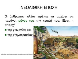 ΝΕΟΛΙΘΙΚΗ ΕΠΟΧΗ
Ο άνκρωποσ πλζον πρζπει να αρχίςει να
παράγει μόνοσ του τθν τροφι του. Είναι θ
απαρχι
● τθσ γεωργίασ και
● τθσ κτθνοτροφίασ
Πθγι εικόνασ: https://www.sciencephoto.com/category/animals/all%20animals
 