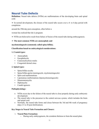 nervous system of newborn at a glance- neonatology | PDF