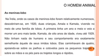 O HOMEM ANIMAL
As meninas-lobo
Na Índia, onde os casos de meninos-lobo foram relativamente numerosos,
descobriram-se, em 1920, duas crianças, Amala e Kamala, vivendo no
meio de uma família de lobos. A primeira tinha um ano e meio e veio a
morrer um ano mais tarde. Kamala, de oito anos de idade, viveu até 1929.
Não tinham nada de humano e seu comportamento era exatamente
semelhante àquele de seus irmãos lobos. Elas caminhavam de quatro,
apoiando-se sobre os joelhos e cotovelos para os pequenos trajetos e
sobre as mãos e os pés para os trajetos longos e rápidos.
 