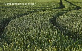 ¿Como cambiamos las cosas?
 