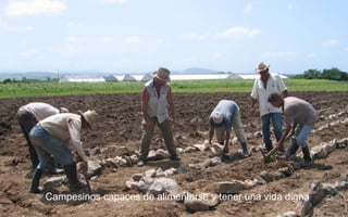 Campesinos capaces de alimentarse y tener una vida digna
 