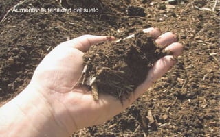 Aumentar la fertilidad del suelo
 