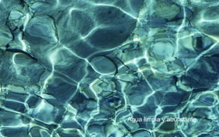 Agua limpia y abundante
 