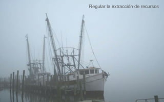 Regular la extracción de recursos
 