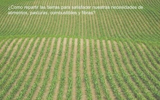 ¿Como repartir las tierras para satisfacer nuestras necesidades de
alimentos, pasturas, combustibles y fibras?
 