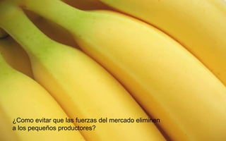 ¿Como evitar que las fuerzas del mercado eliminen
a los pequeños productores?
 
