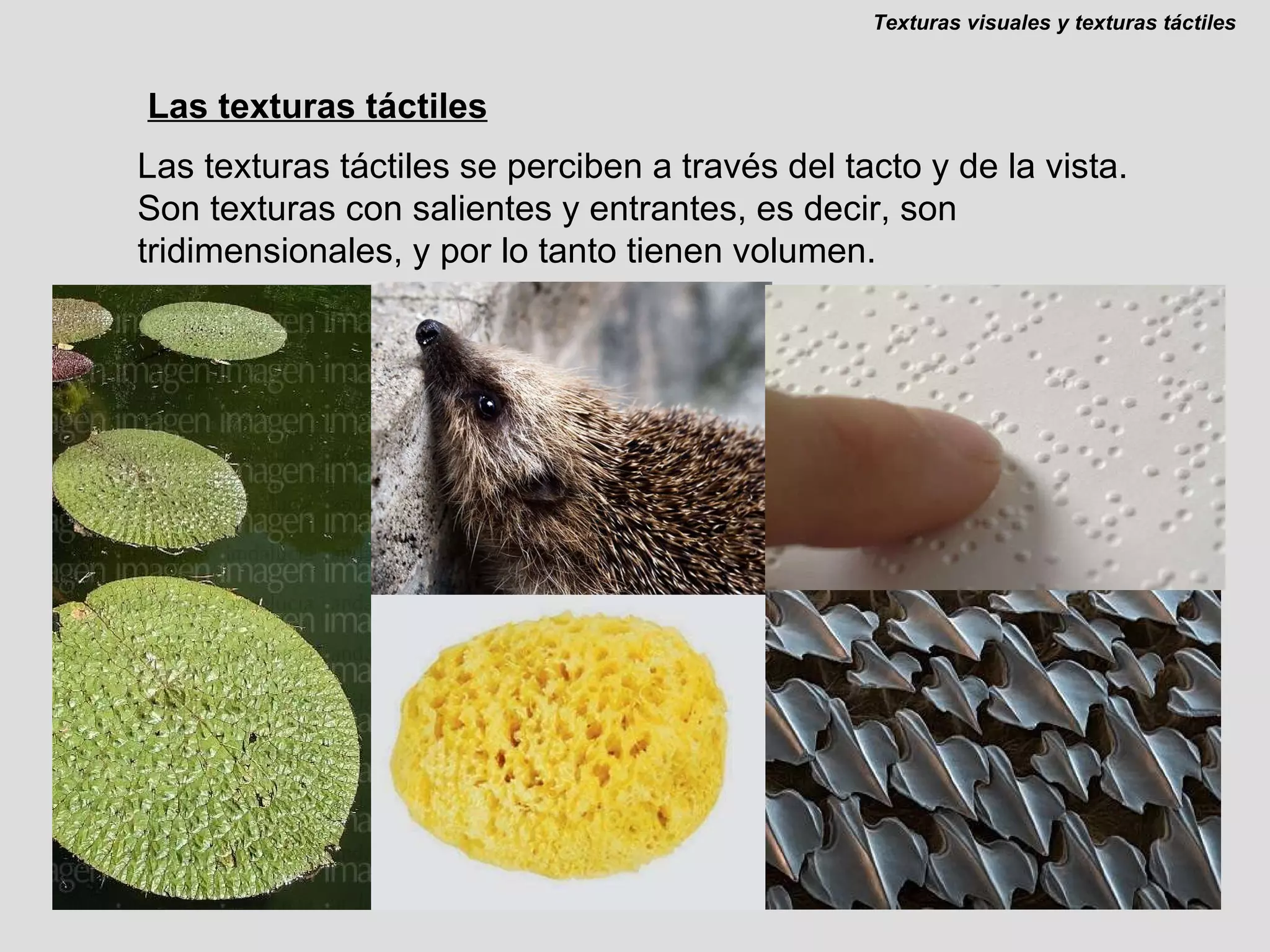 Las texturas táctiles Las texturas táctiles se perciben a través del tacto y de la vista. Son texturas con salientes y entrantes, es decir, son tridimensionales, y por lo tanto tienen volumen. Texturas visuales y texturas táctiles 