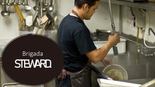 Brigada
STEWARD.
 