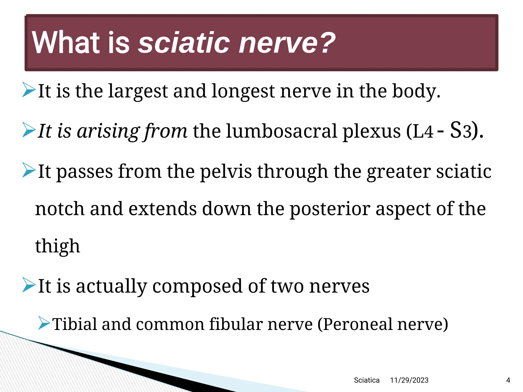 
It is the largest and longest nerve in the body.

It is arising from the lumbosacral plexus (L4 - S3).

It passes from the pelvis through the greater sciatic
notch and extends down the posterior aspect of the
thigh

It is actually composed of two nerves

Tibial and common fibular nerve (Peroneal nerve)
11/29/2023 4
What is sciatic nerve?
Sciatica
 