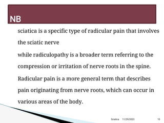 
sciatica is a specific type of radicular pain that involves
the sciatic nerve

while radiculopathy is a broader term referring to the
compression or irritation of nerve roots in the spine.

Radicular pain is a more general term that describes
pain originating from nerve roots, which can occur in
various areas of the body.
11/29/2023 10
N B
Sciatica
 