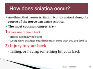 
Anything that causes irritation (compression) along the
course of the nerve can cause sciatica.

The most common causes are:-
1) Over use of your back
◦ lifting too heavy object or
◦ Doing work that uses your back much more than you are used to
2) Injury to your back
◦ falling, or having something hit your back
11/29/2023 12
H ow does sciatica occur?
Sciatica
 