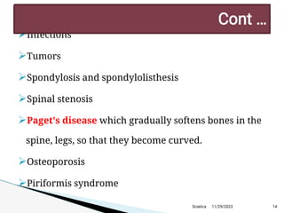 
Infections

Tumors

Spondylosis and spondylolisthesis

Spinal stenosis

Paget’s disease which gradually softens bones in the
spine, legs, so that they become curved.

Osteoporosis

Piriformis syndrome
11/29/2023 14
C ont …
Sciatica
 