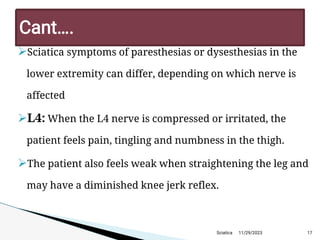 
Sciatica symptoms of paresthesias or dysesthesias in the
lower extremity can differ, depending on which nerve is
affected

L4: When the L4 nerve is compressed or irritated, the
patient feels pain, tingling and numbness in the thigh.

The patient also feels weak when straightening the leg and
may have a diminished knee jerk reflex.
11/29/2023 17
C ant… .
Sciatica
 
