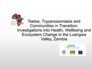 Tsetse, Trypanosomiasis and
Communities in Transition:
Investigations into Health, Wellbeing and
Ecosystem Change in the Luangwa
Valley, Zambia
 