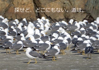 探せど、どこにもない。道は。
82
 