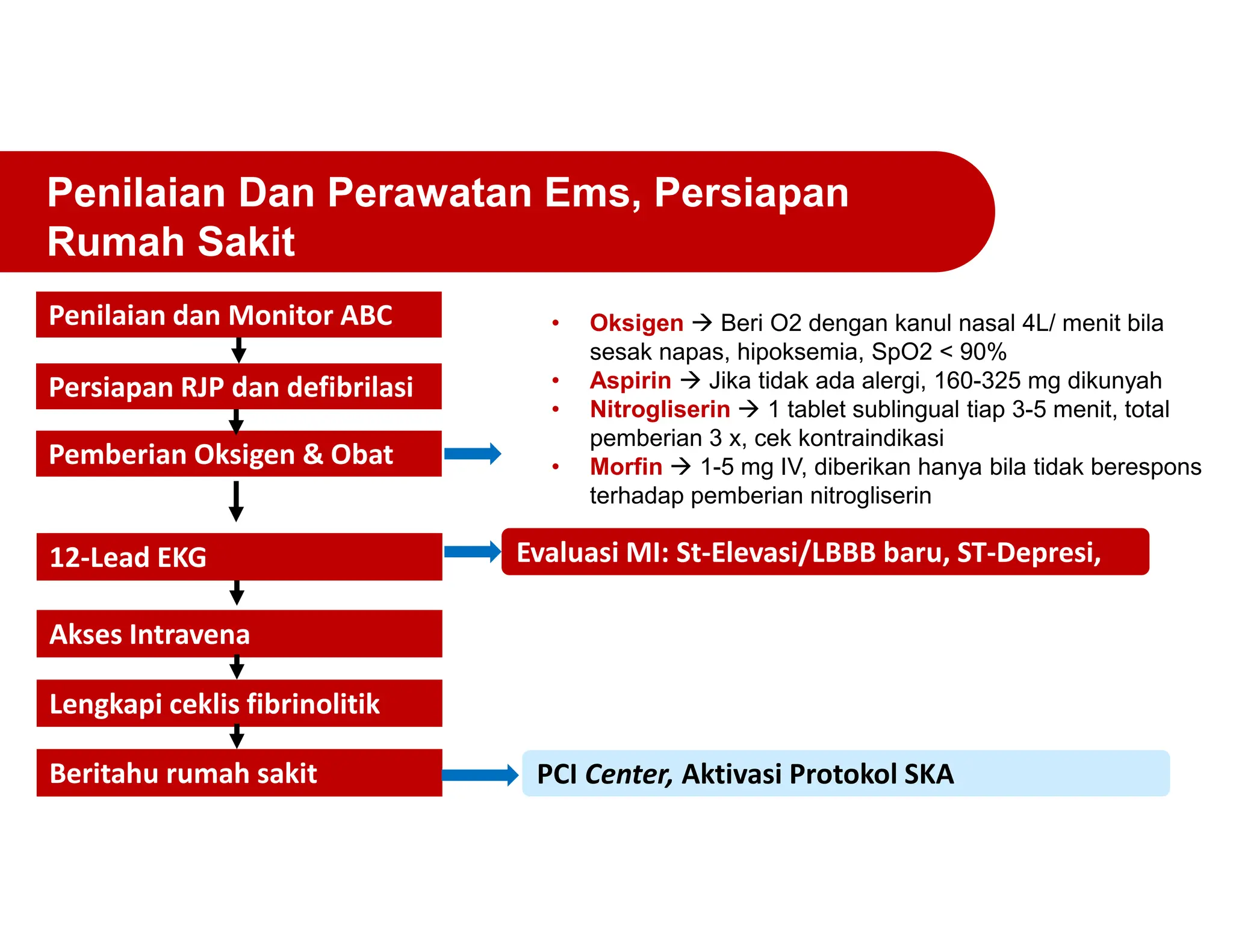 Abc Rjp 003. ACS.pdf pro emergency Nike Anggika1 | PDF