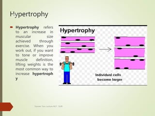 Hypertrophy
 Hypertrophy refers
to an increase in
muscular size
achieved through
exercise. When you
work out, if you want
to tone or improve
muscle definition,
lifting weights is the
most common way to
increase hypertroph
y
Tanveer Tara ,Lecture MLT , SUIR
12
 