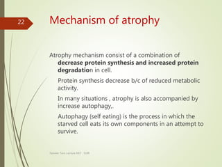 Mechanism of atrophy
Atrophy mechanism consist of a combination of
decrease protein synthesis and increased protein
degradation in cell.
Protein synthesis decrease b/c of reduced metabolic
activity.
In many situations , atrophy is also accompanied by
increase autophagy,.
Autophagy (self eating) is the process in which the
starved cell eats its own components in an attempt to
survive.
Tanveer Tara ,Lecture MLT , SUIR
22
 