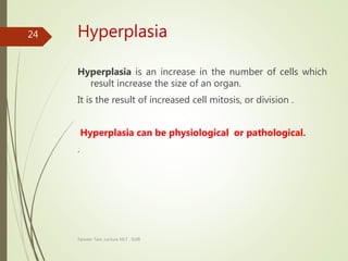 Hyperplasia
Hyperplasia is an increase in the number of cells which
result increase the size of an organ.
It is the result of increased cell mitosis, or division .
Hyperplasia can be physiological or pathological.
.
Tanveer Tara ,Lecture MLT , SUIR
24
 