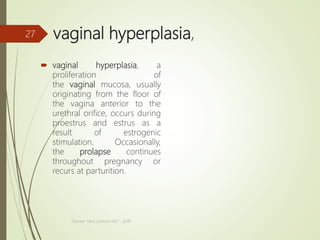 vaginal hyperplasia,
 vaginal hyperplasia, a
proliferation of
the vaginal mucosa, usually
originating from the floor of
the vagina anterior to the
urethral orifice, occurs during
proestrus and estrus as a
result of estrogenic
stimulation. Occasionally,
the prolapse continues
throughout pregnancy or
recurs at parturition.
Tanveer Tara ,Lecture MLT , SUIR
27
 