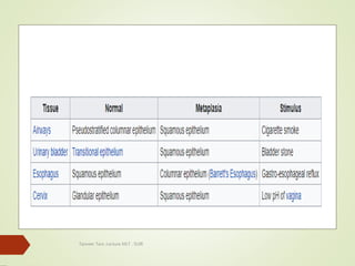 Tanveer Tara ,Lecture MLT , SUIR
36
 