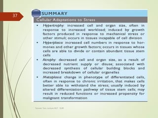 Tanveer Tara ,Lecture MLT , SUIR
37
 