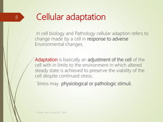 Cellular adaptation
In cell biology and Pathology cellular adaption refers to
change made by a cell in response to adverse
Environmental changes.
Adaptation is basically an adjustment of the cell of the
cell with in limits to the environment in which altered
steady state is achieved to preserve the viability of the
cell despite continued stress.
Stress may physiological or pathologic stimuli,
Tanveer Tara ,Lecture MLT , SUIR
8
 