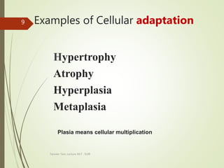 Examples of Cellular adaptation
Hypertrophy
Atrophy
Hyperplasia
Metaplasia
Tanveer Tara ,Lecture MLT , SUIR
9
Plasia means cellular multiplication
 