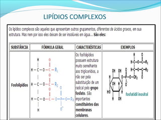 LIPÍDIOS COMPLEXOS
 