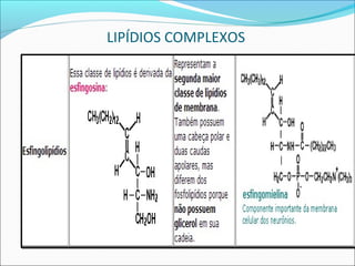 LIPÍDIOS COMPLEXOS
 
