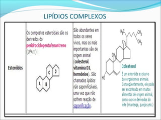 LIPÍDIOS COMPLEXOS
 