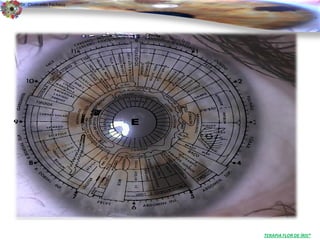 Dr. Clodoaldo Pacheco

                                                .




                        TERAPIA FLOR DE ÍRIS®
 