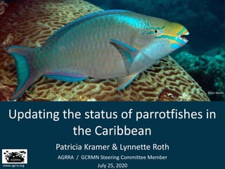 July 25, 2020
Updating the status of parrotfishes in
the Caribbean
Patricia Kramer & Lynnette Roth
AGRRA / GCRMN Steering Committee Member
www.agrra.org
©Ken Marks
 
