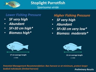 Lower Fishing Pressure
• SF very high
• Abundant
• SF>30 cm high*
• Biomass high*
Higher Fishing Pressure
• SF very high
•...