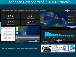Caribbean Dashboard of SCTLD Outbreak
https://www.agrra.org/coral-disease-outbreak/
 
