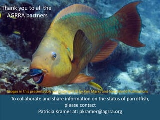 To collaborate and share information on the status of parrotfish,
please contact
Patricia Kramer at: pkramer@agrra.org
Tha...