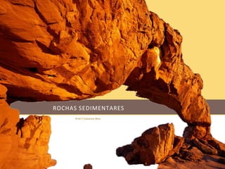 ROCHAS SEDIMENTARES
      Prof.ª Catarina Reis
 