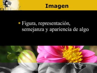 Imagen Figura, representación, semejanza y apariencia de algo.