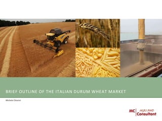 BRIEF OUTLINE OF THE ITALIAN DURUM WHEAT MARKET
Michele Chiarini

AGRI-FOOD

 