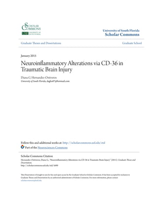 University of South Florida
Scholar Commons
Graduate Theses and Dissertations Graduate School
January 2015
Neuroinflammatory Alterations via CD-36 in
Traumatic Brain Injury
Diana G. Hernandez-Ontiveros
University of South Florida, dagho07@hotmail.com
Follow this and additional works at: http://scholarcommons.usf.edu/etd
Part of the Neurosciences Commons
This Dissertation is brought to you for free and open access by the Graduate School at Scholar Commons. It has been accepted for inclusion in
Graduate Theses and Dissertations by an authorized administrator of Scholar Commons. For more information, please contact
scholarcommons@usf.edu.
Scholar Commons Citation
Hernandez-Ontiveros, Diana G., "Neuroinflammatory Alterations via CD-36 in Traumatic Brain Injury" (2015). Graduate Theses and
Dissertations.
http://scholarcommons.usf.edu/etd/5699
 
