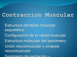 Estructura del tejido muscular
esquelético.
Configuración de la célula muscular.
Estructura molecular del sarcómero.
Unión neuromuscular y sinapsis
neuromuscular.
 