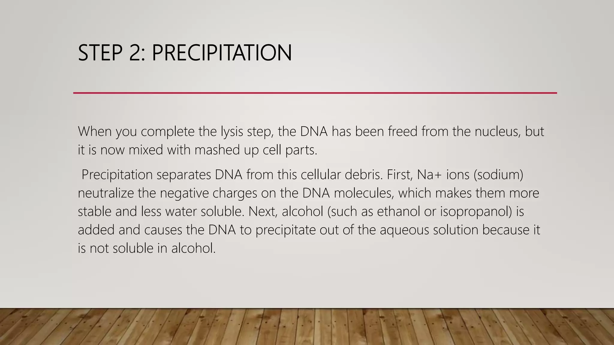 STEP 2: PRECIPITATION
When you complete the lysis step, the DNA has been freed from the nucleus, but
it is now mixed with mashed up cell parts.
Precipitation separates DNA from this cellular debris. First, Na+ ions (sodium)
neutralize the negative charges on the DNA molecules, which makes them more
stable and less water soluble. Next, alcohol (such as ethanol or isopropanol) is
added and causes the DNA to precipitate out of the aqueous solution because it
is not soluble in alcohol.
 