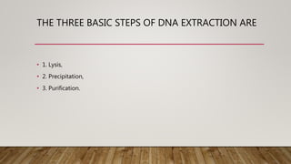 003 dna extraction | PPTX