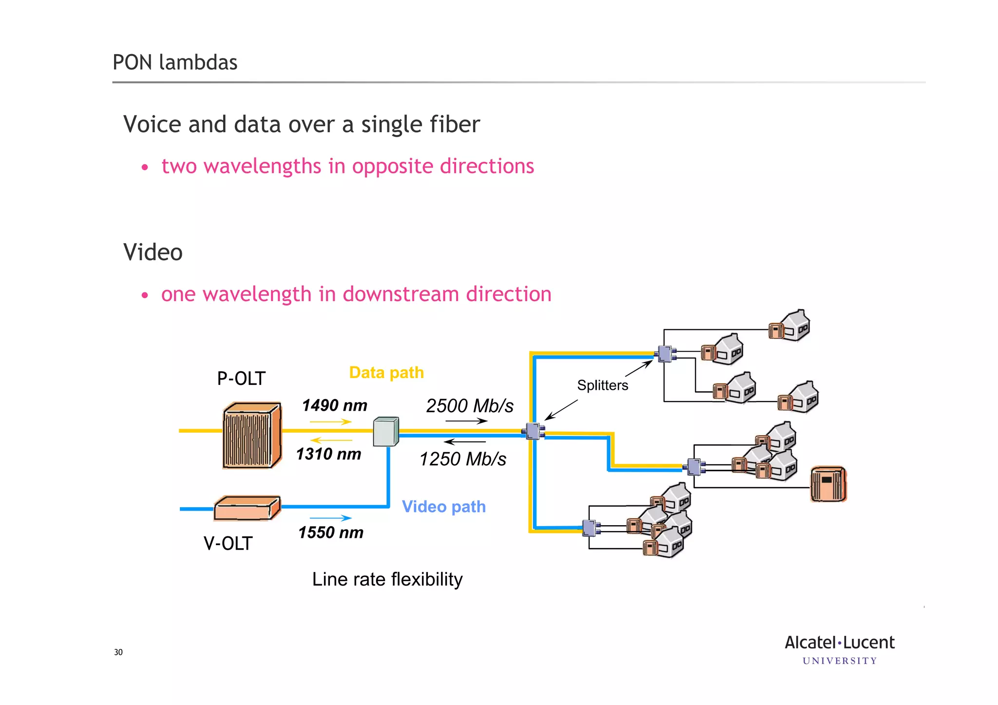 30
PON lambdas
Voice and data over a single fiber
• two wavelengths in opposite directions
Video
• one wavelength in downstream direction
Splitters
1490 nm
1310 nm
Data path
1550 nm
Video path
Line rate flexibility
2500 Mb/s
1250 Mb/s
V-OLT
P-OLT
 